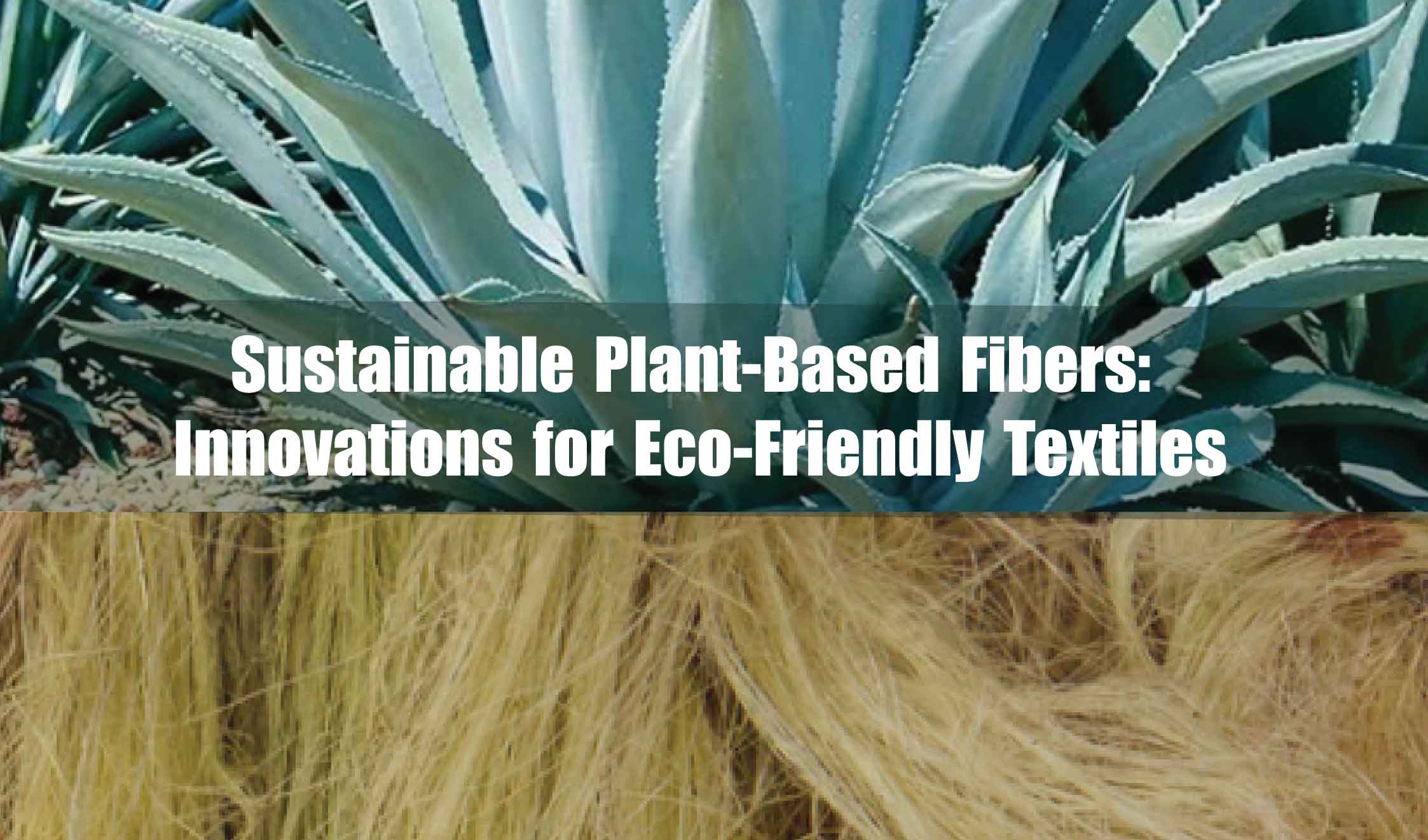 “Top Plant-Based Fibers for Sustainable Fashion: Eco-Friendly Innovations & Textiles”